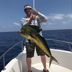 Meet your Posher, Patrick